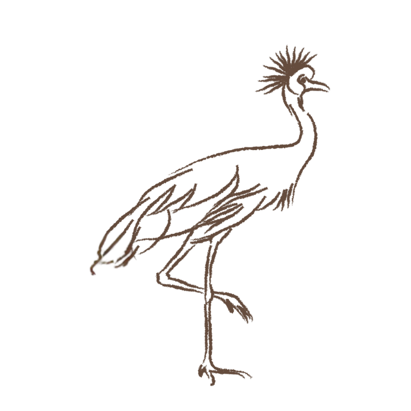 Crane_illustration crane_illustration<br />