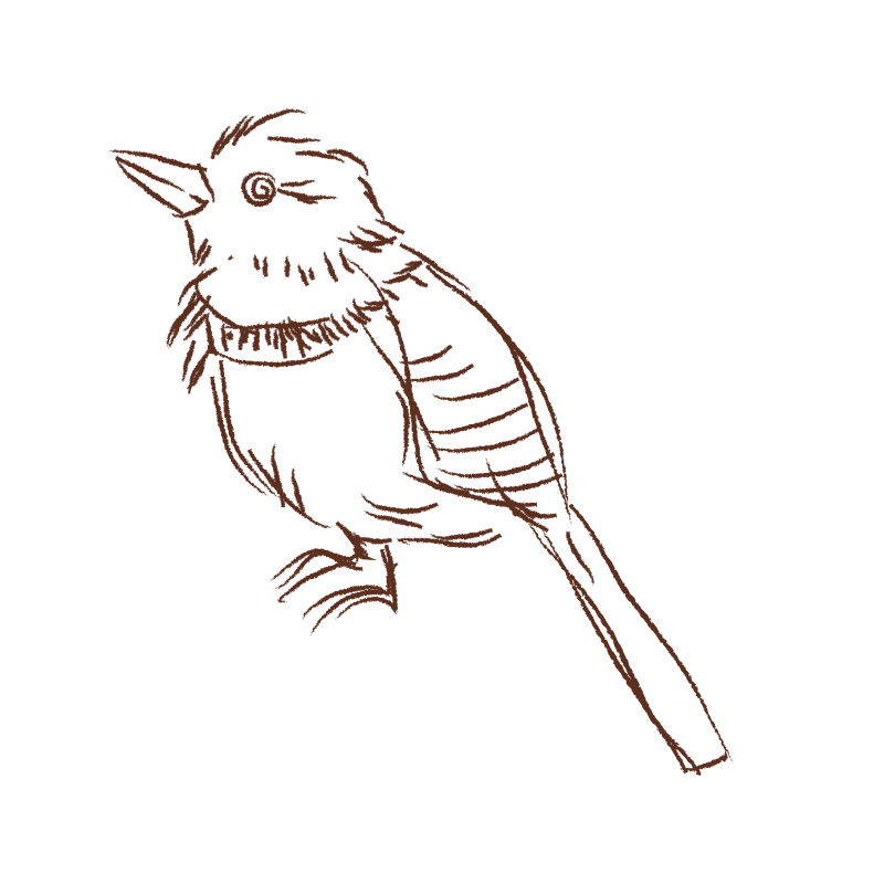 Puffbird_illustration Puffbird_illustration
